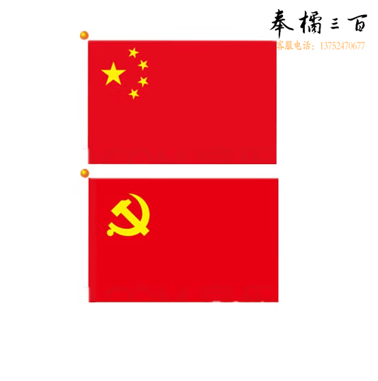 桌摆小国旗   （下单备注国家） 货号：LJ