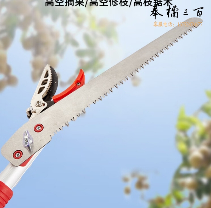 高空剪枝剪果树剪修剪树枝剪刀