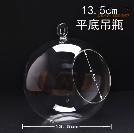 微景观生态瓶  平底吊瓶 收纳瓶 直径13.5cm