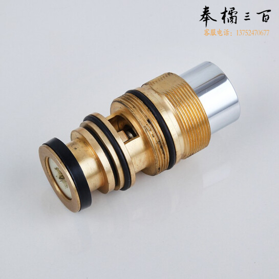 冲洗阀延迟阀芯
