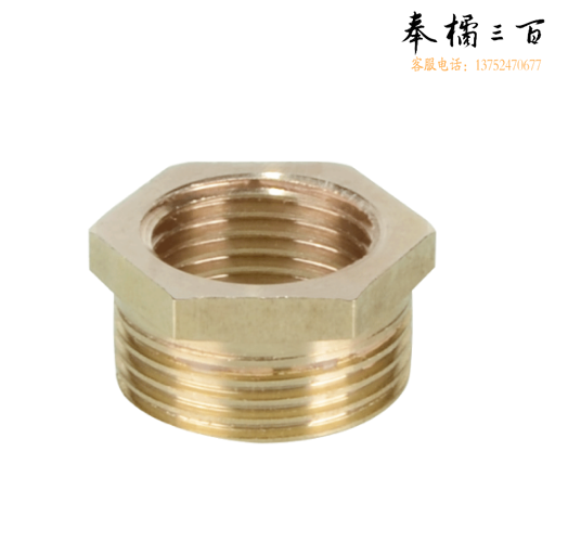 黄铜变径补芯20/15