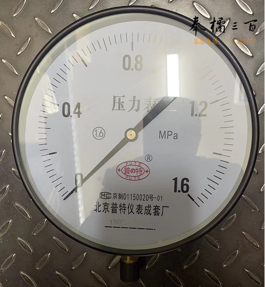 Y250-1.6压力表