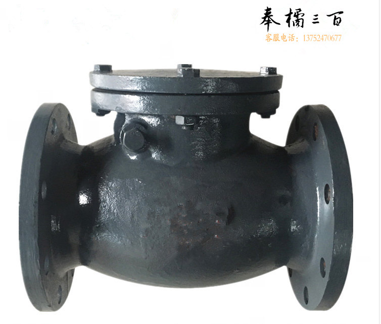  止回阀 DN65  货号：JC