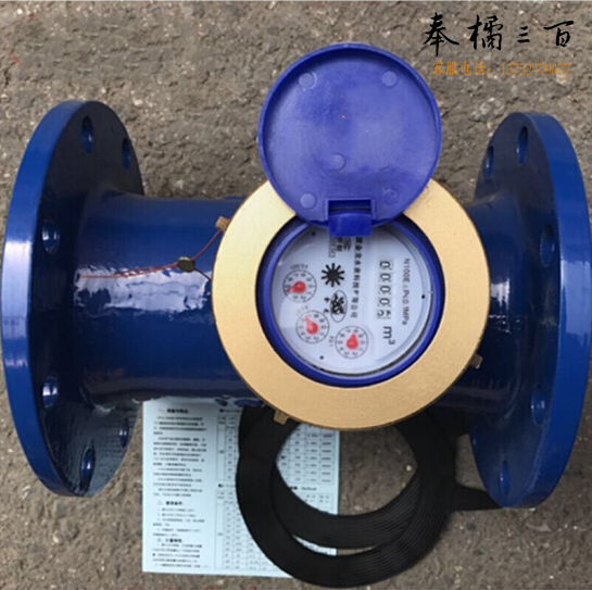 水表（数字直读） 含法兰垫 50