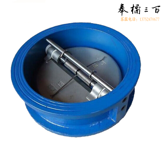 止回阀  单向阀  DN100  货号：HXE