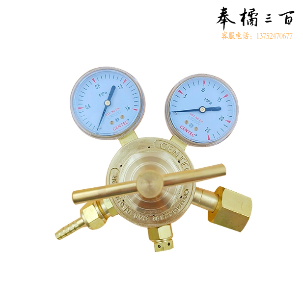  黄铜减压阀  中型减压器  货号：NK