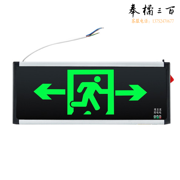 艾派克（AIPAIKE） 单面安全出口 双向 D215