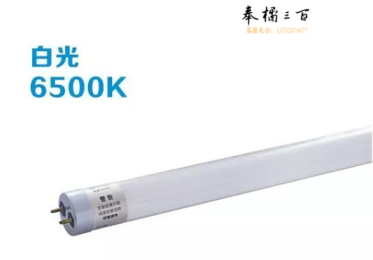 亚浦耳 LED 灯管T8-8W 600mm长（25根/箱）