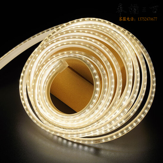 LED灯带 吊顶霓虹灯带  白光  每米价