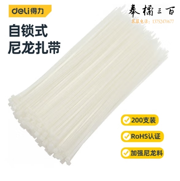 得力 尼龙扎带  4*250mm自锁式理线带 200支装  白色DW4010