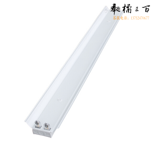 佛山（FSL）T8 双灯管带罩支架1.2米双端供电中间出线 LED灯管专用（不含安装）