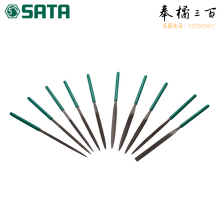 世达（SATA）10件套什锦锉4x160MM /十件套什锦锉4X160MM多功能修整锉刀03802