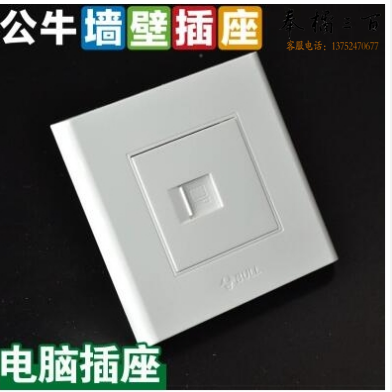 公牛 一位电脑插座 G05T102