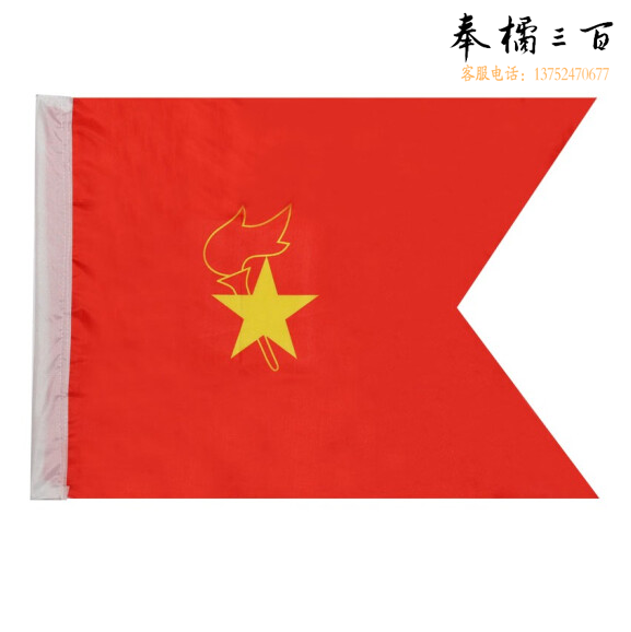 少先队中队旗