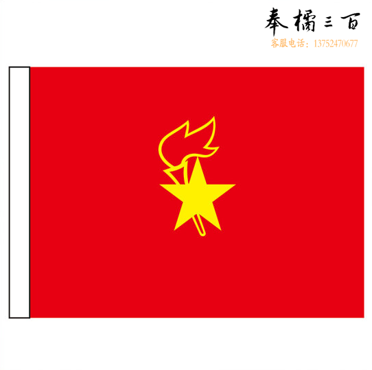 少先队大队旗