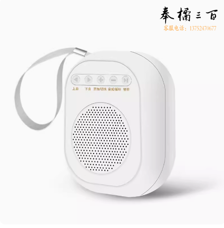 小型录音播放器  便携式扩音器  货号：WY