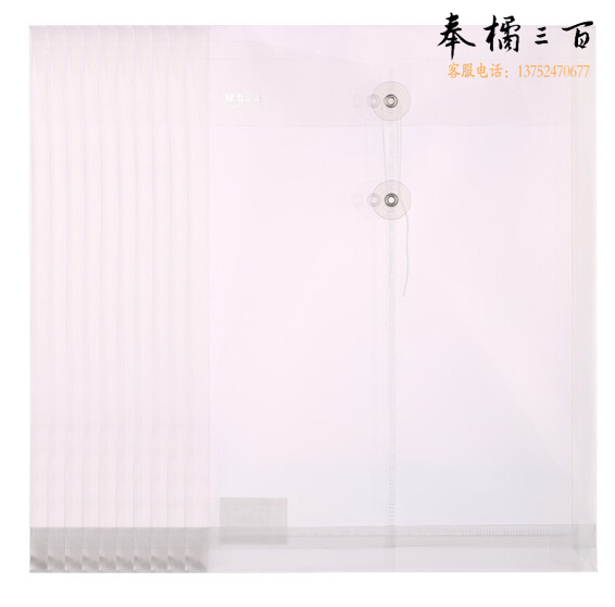 晨光 A4竖式线扣档案袋 ADM94518 （12只）