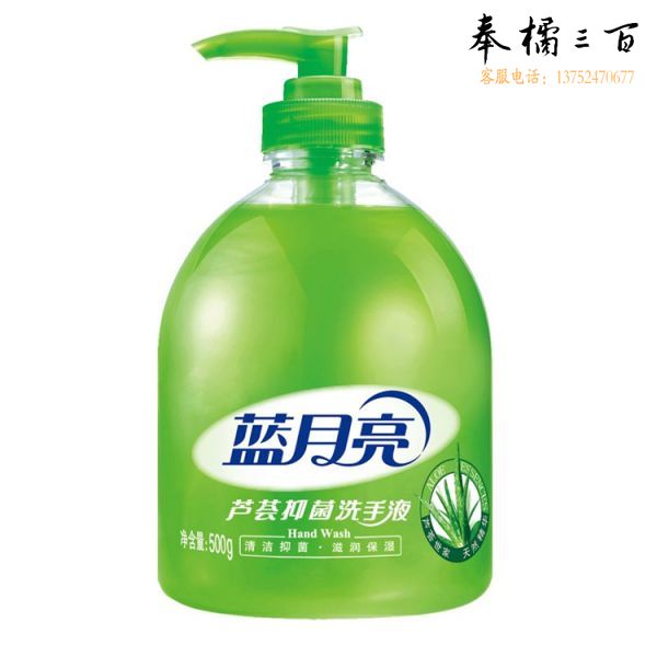 蓝月亮 瓶装芦荟抑菌洗手液 500g