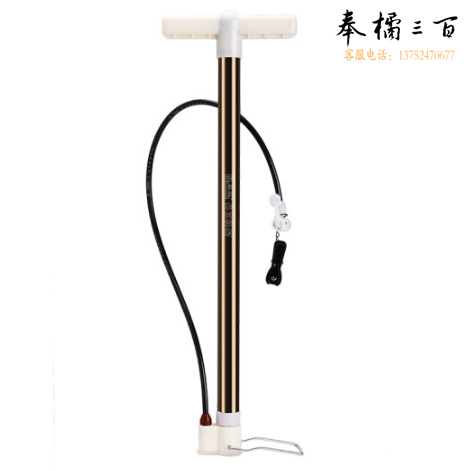 欧耐（NHONOR）打气筒/ 立式打气筒 /家用打气筒  590N  1个/盒