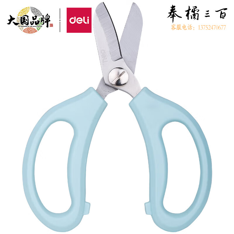 得力(deli) 办公花艺剪刀 盆栽修剪园艺剪刀 蓝色77751