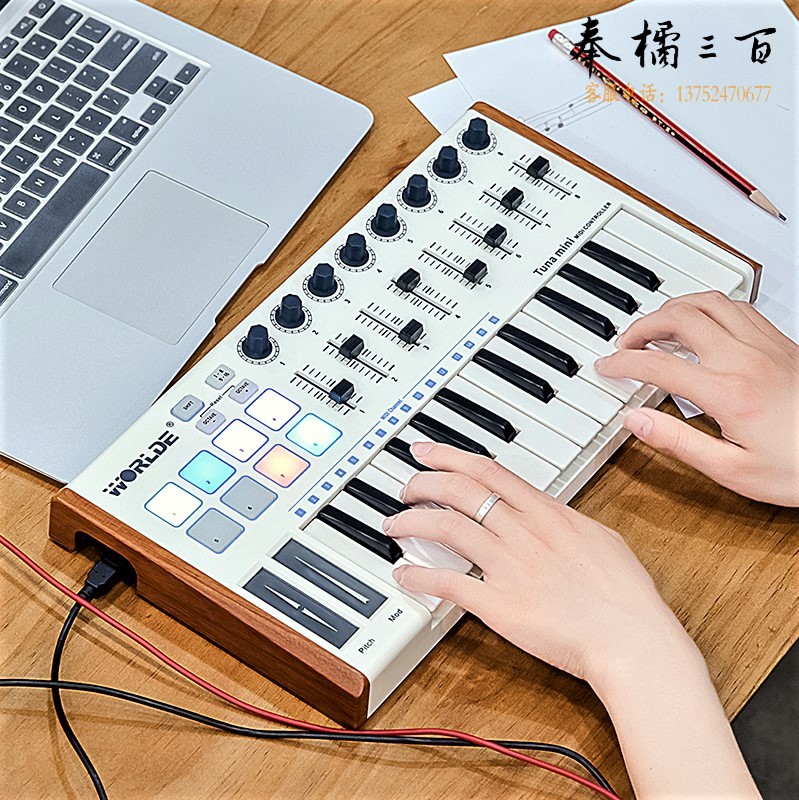 worlde 25键便携midi键盘打击垫音乐编曲键盘电音迷笛控制器力度感应键盘 tuna mini EASYKEY.25黑色标准版