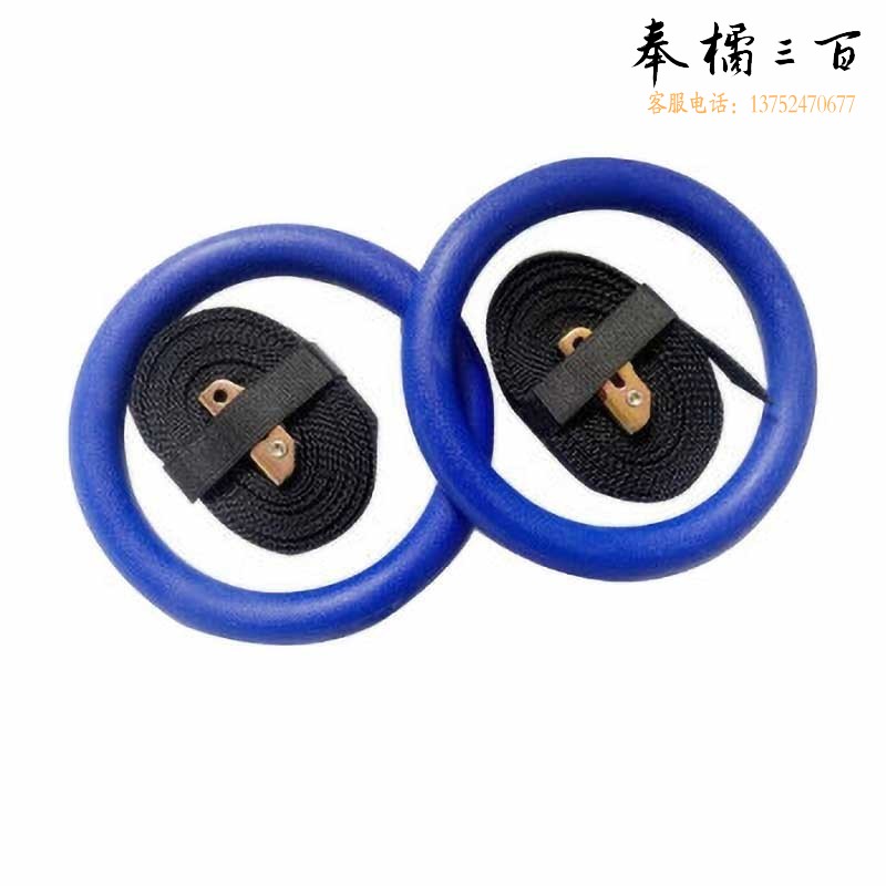 兵翼 健身成人体操训练引体向上室内健身器材 高配蓝色吊环+织带+手胶+304膨胀环