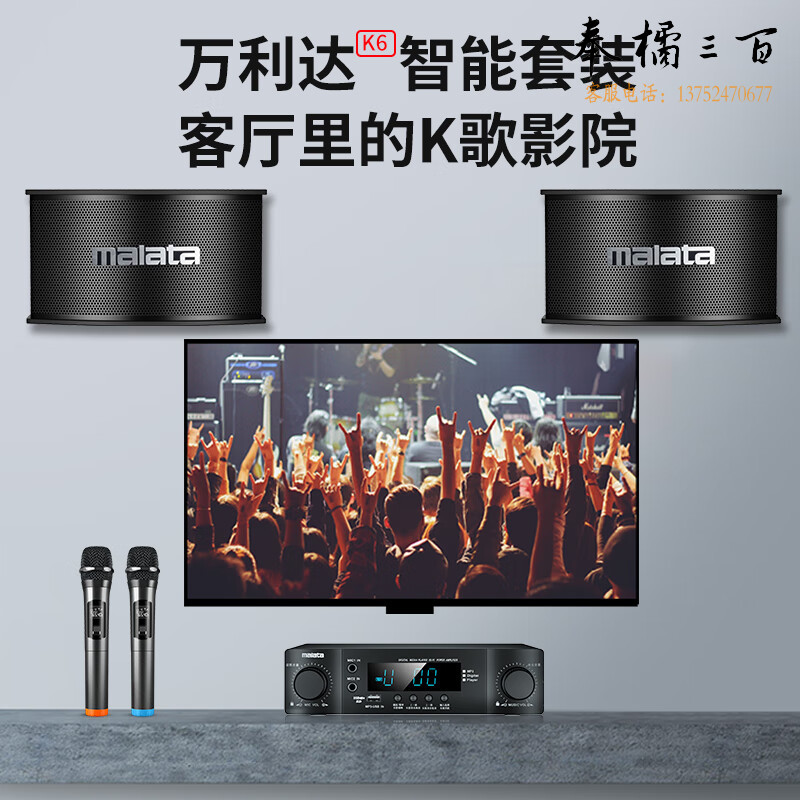万利达（Malata）K6套装 家庭影院ktv音响卡拉OK组合音箱功放机套装家用麦克风会议 6.5英寸