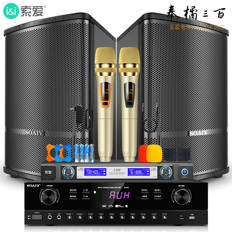 索爱（soaiy）CK家庭影院客厅电视KTV音响家用商用会议门店设备卡拉ok唱歌全套专业功放话筒音箱组合 套装五