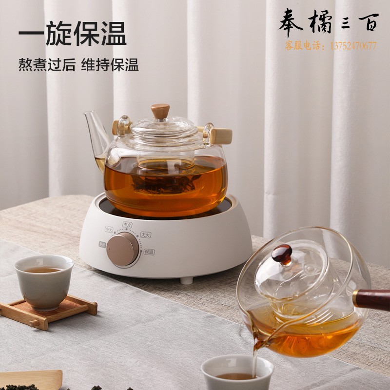苏泊尔（SUPOR）迷你电陶炉 泡茶煮茶器黑茶养生茶炉 养生SW-DTL01