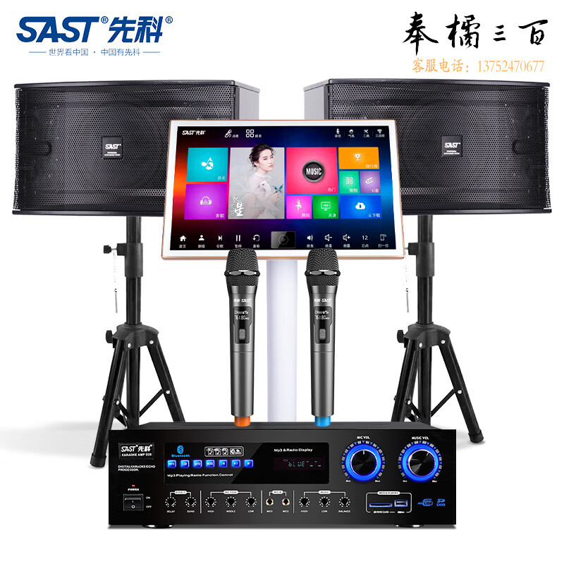 先科(SAST) D20 家庭影院ktv音响套装点歌机一体机家用功放机卡拉OK音箱点唱机卡包音箱设备 10英寸