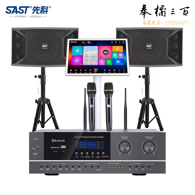 先科（SAST）AV-312 家庭影院KTV音响套装点歌机一体机家用功放机卡拉OK点唱机卡包音箱设备 10英寸