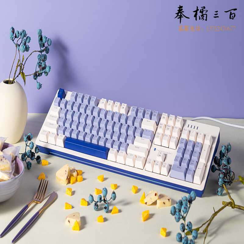 雷神（ThundeRobot）K104有线热插拔机械键盘 蓝莓芝士挞 游戏办公键盘 RGB PBT双色键帽 104键 红轴