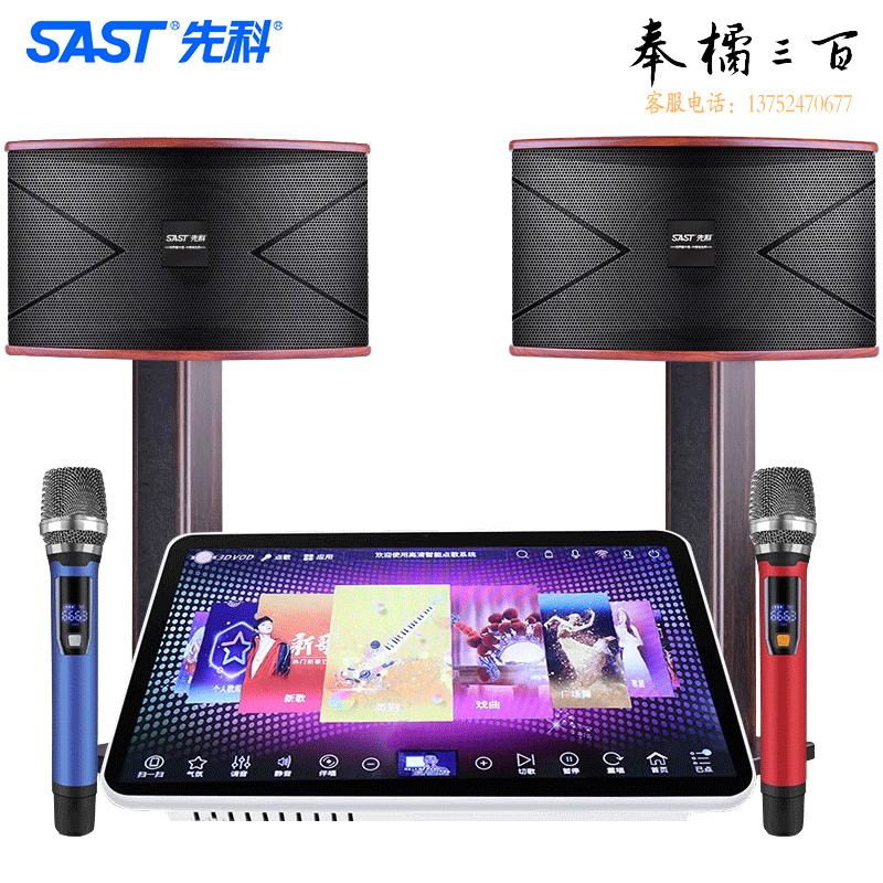 先科（SAST）SA-2888 家庭影院KTV音响套装点歌机一体机家用功放机卡拉OK点唱机卡包音箱设备 10英寸2T木支架