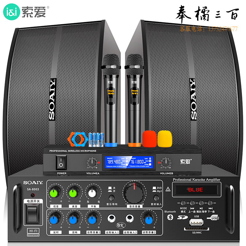 索爱（soaiy）家庭影院客厅电视KTV音响家用商用会议门店设备卡拉ok唱歌全套专业功放话筒音箱组合套装CK-M66