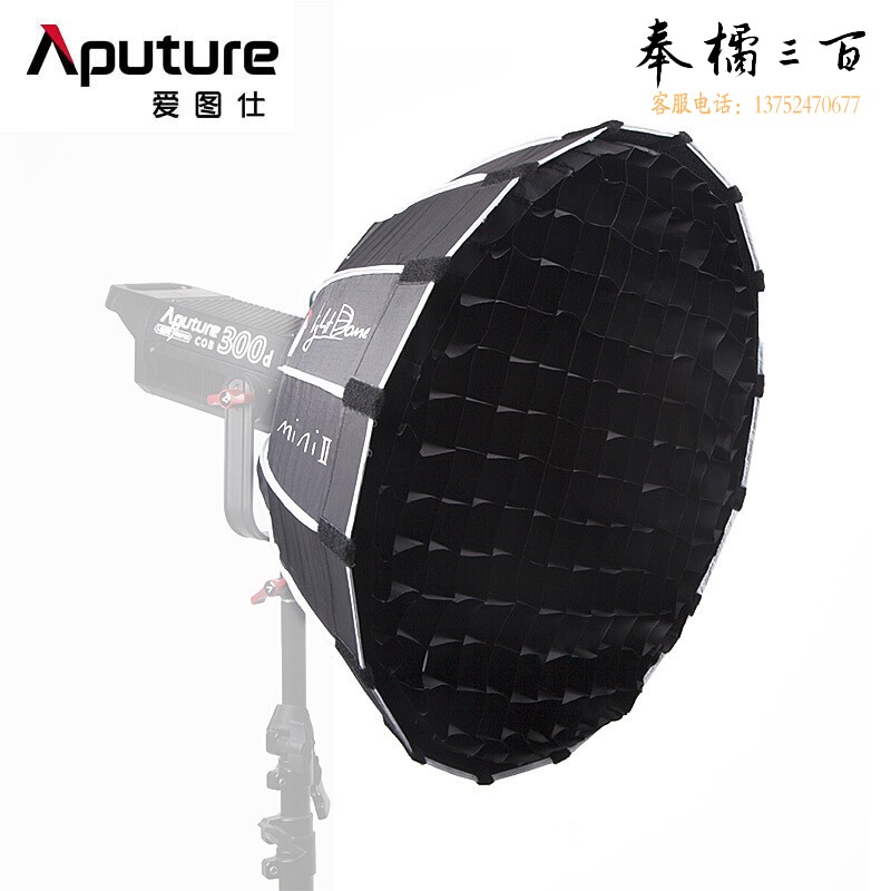 爱图仕（Aputure）Light Dome Mini II (22