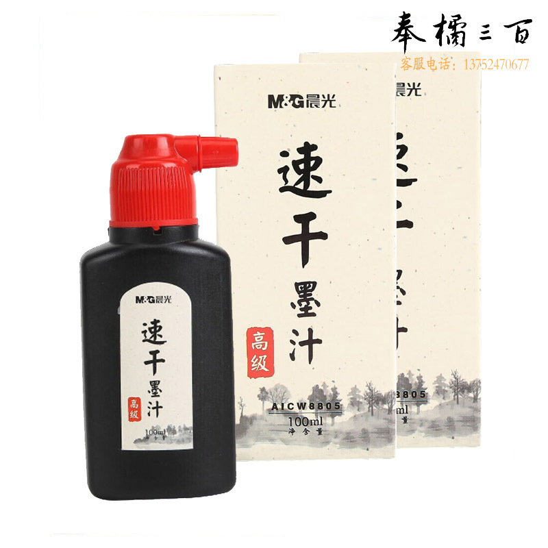 晨光（M&G）100ml高级速干墨汁 创作墨汁 文房四宝学生书法绘画墨水 2瓶装 AICW8805