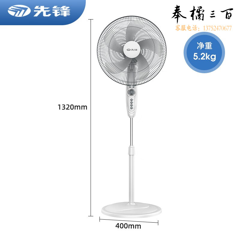先锋（SINGFUN）电风扇五叶落地扇大风量风扇立式广角摇头电扇定时家用客厅办公室机械风扇 FS40-11B