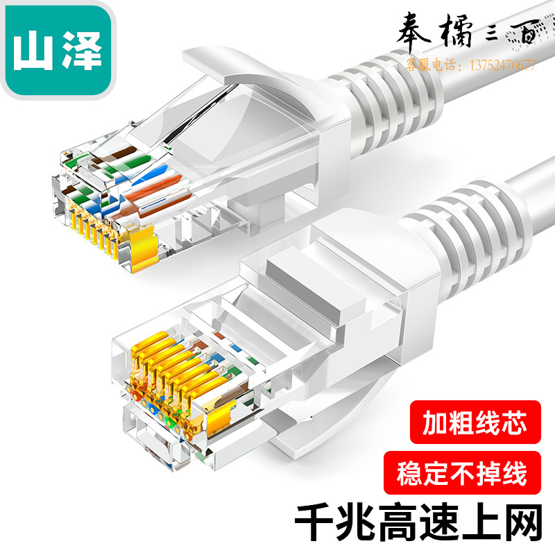 山泽(SAMZHE)超五类网线 CAT5e类高速千兆网线 30米 工程/宽带电脑家用连接跳线 成品网线 贝吉色 ZW-30