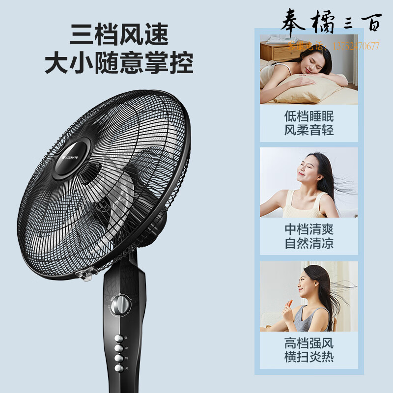 艾美特（AIRMATE）五叶家用电风扇大风量机械立式落地扇轻音节能柔风定时风扇落地式风扇 FSW65T2-5