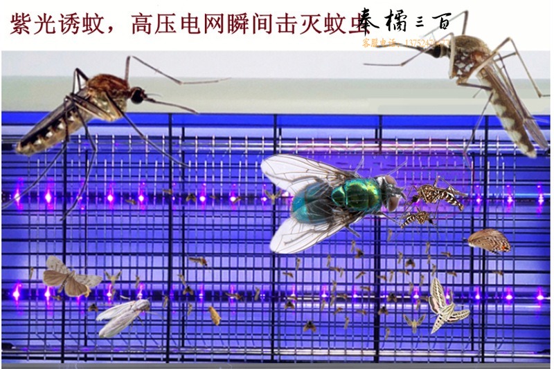 QQ图片20200711192602.png