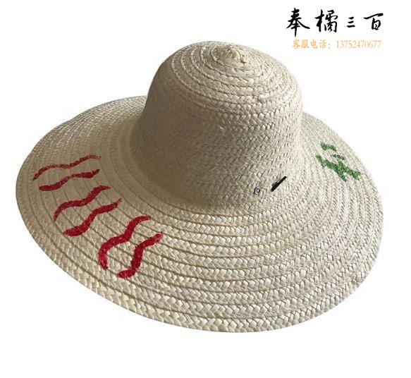 草帽 大檐防晒遮阳帽麦秆太阳帽草帽 钓鱼帽其它防护用品