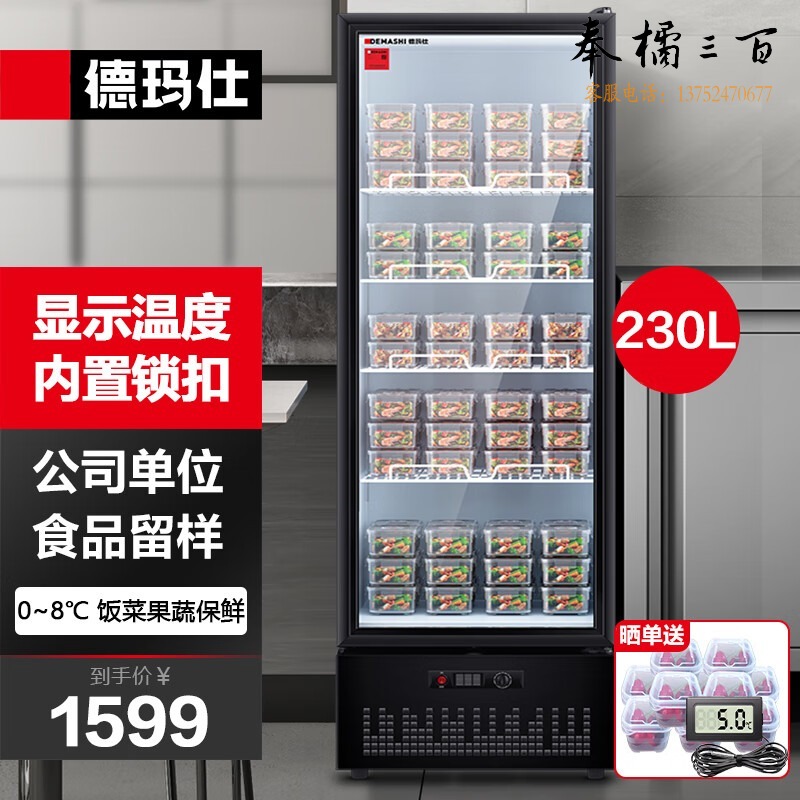 德玛仕 DEMASHI 食品留样柜 学校幼儿园公司留样柜食堂用水果蔬菜冰箱保鲜冷藏冰柜展示柜 LG-300ZH1 厨房家电配件
