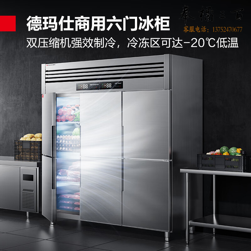 德玛仕BCD-1300A-1D 商用六开门-20℃立式大容量厨房冰箱雪柜冷藏冷冻双温保鲜 展示柜 全冷冻【工程款】