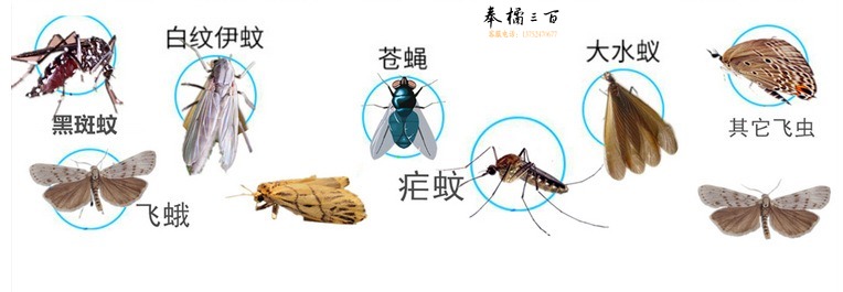 QQ图片20200711192505