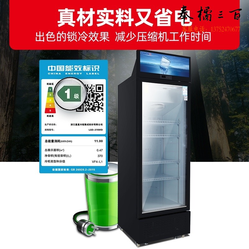 星星 饮料冷藏柜 立式冰柜 冷柜