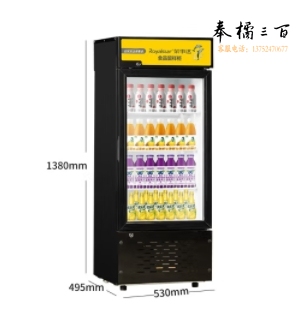荣事达 LC-138 Royals展示柜冷藏柜立式冰柜商用啤酒柜冷饮柜饮料柜保鲜柜超市冷柜立式冷藏陈列柜 留样柜138（双锁/双层中空玻璃）冷藏展示柜