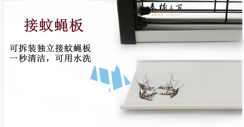 接蚊子