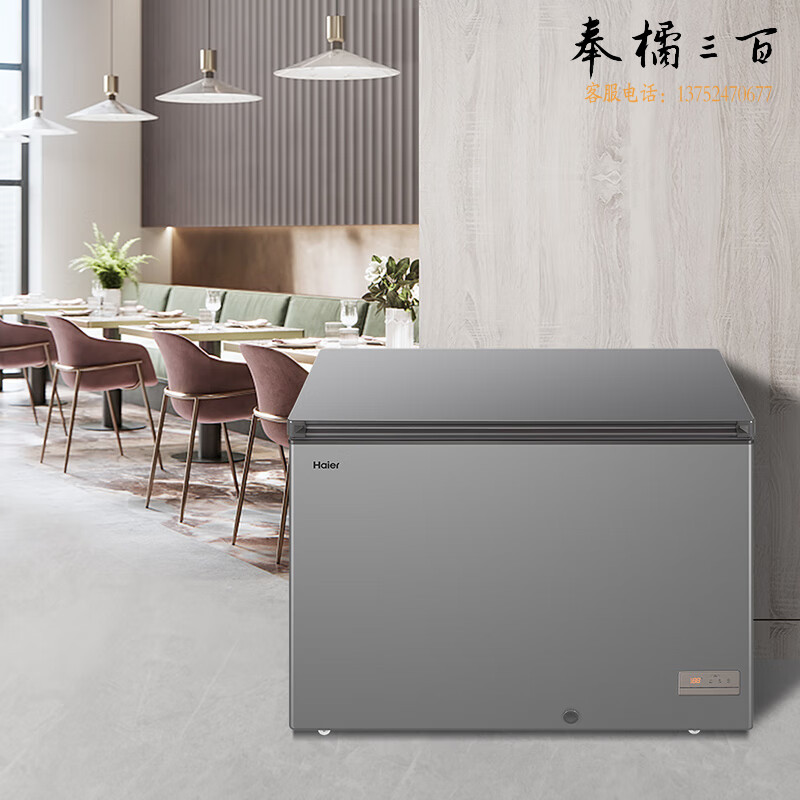 海尔/Haier 家用冷柜 冷藏柜BC/BD-306HED