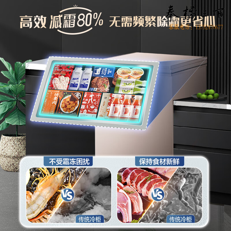 容声（Ronshen） 100升小型冰柜家用单温冷柜 一级能效减霜80%小冰柜 冷藏冷冻 BD/BC-100ZMSM