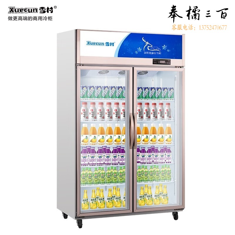 雪村 双开门纯风冷展示柜 冷藏柜保鲜展示柜风冷款 啤酒饮料串串 LC-1000CF 冷藏